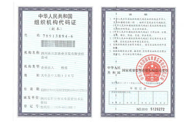 CertificationsTemp No. 6